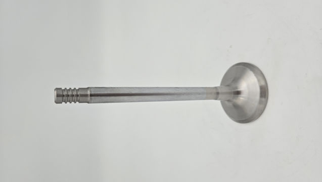 Liebherr f13983a1-c33e-47e2-8685-b0df094bee534618443949422856611-jpg